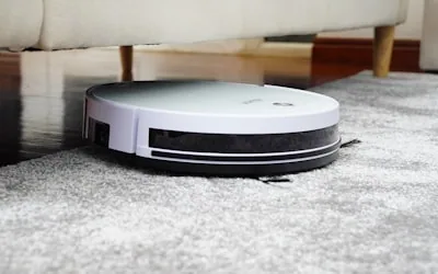 Professional carpet cleaning Auckland