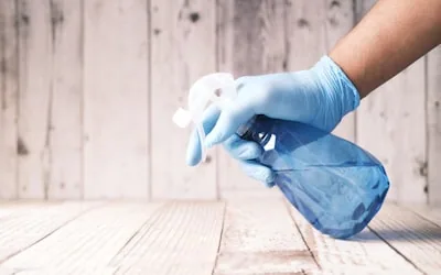 Deep cleaning Auckland